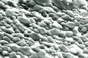 Aluminum oxide RAPAL 200 AZ SEM-image